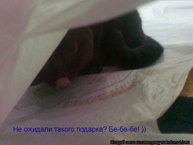 Котоматрица: Не ожидали такого подарка? Бе-бе-бе! ))