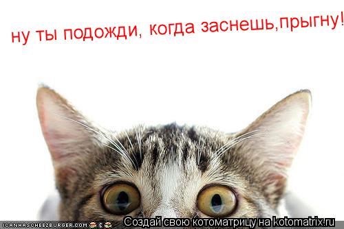 Котоматрица: ну ты подожди, когда заснешь,прыгну!