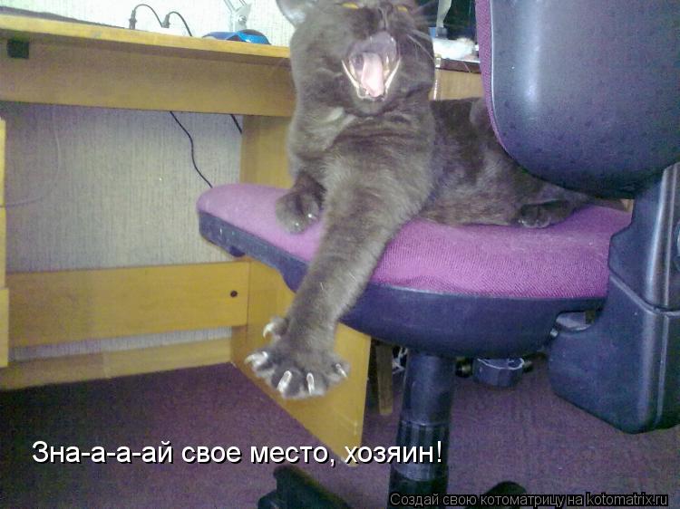 Котоматрица: Зна-а-а-ай свое место, хозяин!