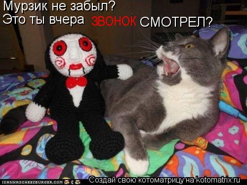 Котоматрица: Мурзик не забыл? Это ты вчера  ЗВОНОК СМОТРЕЛ?
