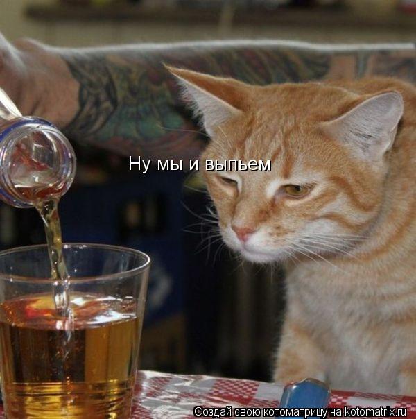 Ну мы и выпьем... Котоматрица: Ну мы и выпьем