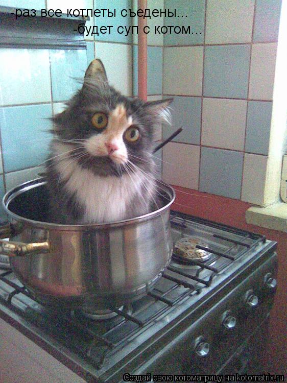 -раз все котлеты съедены... -будет суп с котом...... Котоматрица: -раз все котлеты съедены... -будет суп с котом...