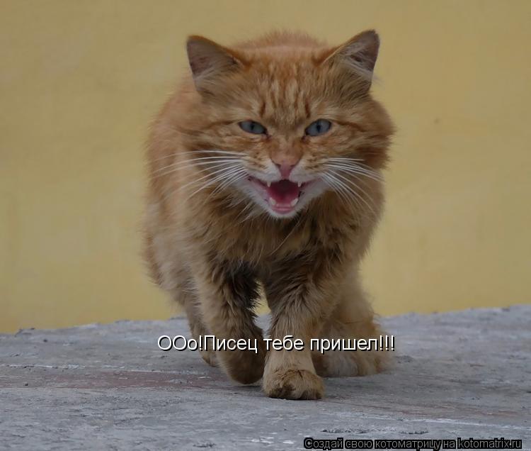 ООо!Писец тебе пришел!!!... Котоматрица: ООо!Писец тебе пришел!!!