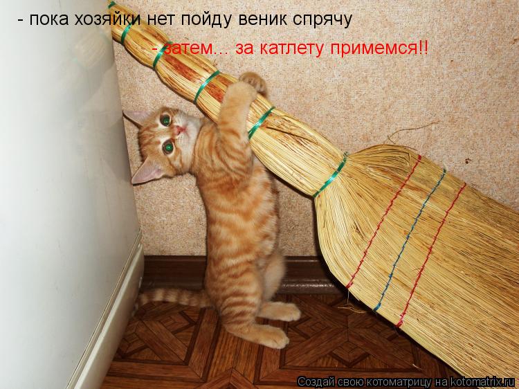- пока хозяйки нет пойду веник спрячу - затем... за катлету примемся!!... Котоматрица: - пока хозяйки нет пойду веник спрячу - затем... за катлету примемся!!
