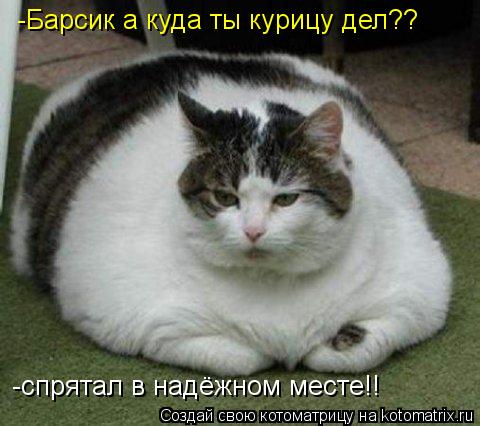 -Барсик а куда ты курицу дел?? -спрятал в надёжном месте!!... Котоматрица: -Барсик а куда ты курицу дел?? -спрятал в надёжном месте!!
