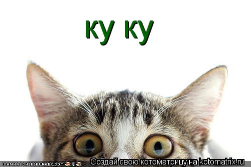 ку ку... Котоматрица: ку ку