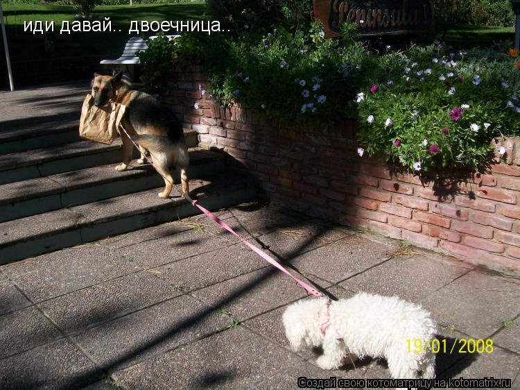 иди давай.. двоечница..... Котоматрица: иди давай.. двоечница..