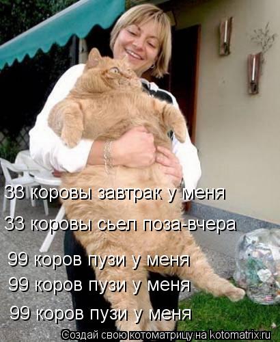 33 коровы сьел поза-вчера 33 коровы завтрак у меня 99 коров пузи у меня 99 коров пузи у меня 99 коров... Котоматрица: 33 коровы сьел поза-вчера 33 коровы завтрак у меня 99 коров пузи у меня 99 коров пузи у меня 99 коров пузи у меня