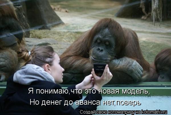 Я понимаю,что это новая модель, Но денег до аванса нет,поверь... Котоматрица: Я понимаю,что это новая модель, Но денег до аванса нет,поверь