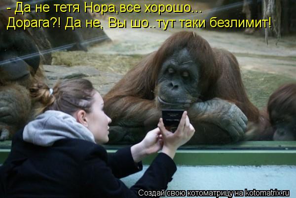 - Да не тетя Нора,все хорошо... Дорага?! Да не, Вы шо..тут таки безлимит!... Котоматрица: - Да не тетя Нора,все хорошо... Дорага?! Да не, Вы шо..тут таки безлимит!