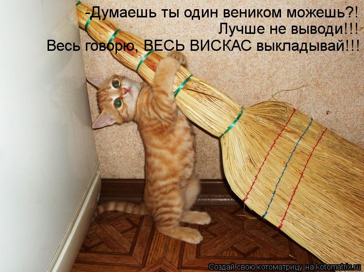 -Думаешь ты один веником можешь?! Лучше не выводи!!! Весь говорю, ВЕСЬ ВИСКАС выкладывай!!!... Котоматрица: -Думаешь ты один веником можешь?! Лучше не выводи!!! Весь говорю, ВЕСЬ ВИСКАС выкладывай!!!