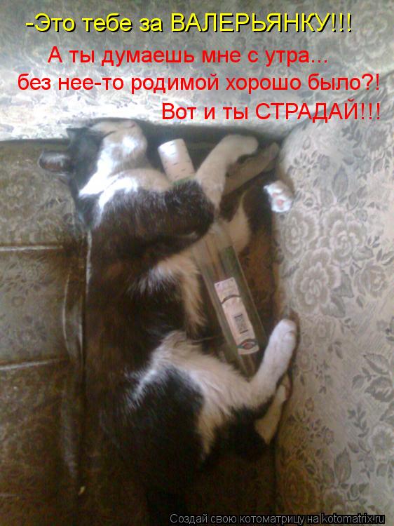 -Это тебе за ВАЛЕРЬЯНКУ!!! без нее-то родимой хорошо было?! А ты думаешь мне с утра... Вот и ты СТРАД... Котоматрица: -Это тебе за ВАЛЕРЬЯНКУ!!! без нее-то родимой хорошо было?! А ты думаешь мне с утра... Вот и ты СТРАДАЙ!!!