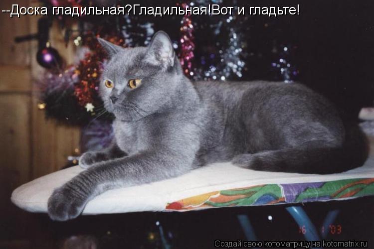 --Доска гладильная?Гладильная!Вот и гладьте!... Котоматрица: --Доска гладильная?Гладильная!Вот и гладьте!