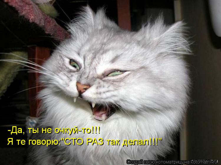 -Да, ты не очкуй-то!!! Я те говорю:"СТО РАЗ так делал!!!"... Котоматрица: -Да, ты не очкуй-то!!! Я те говорю:"СТО РАЗ так делал!!!"