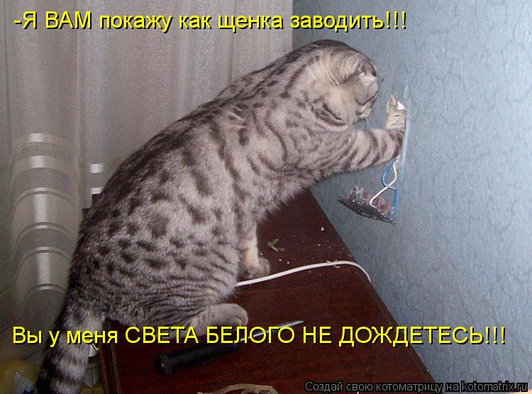 -Я ВАМ покажу как щенка заводить!!! Вы у меня СВЕТА БЕЛОГО НЕ ДОЖДЕТЕСЬ!!!... Котоматрица: -Я ВАМ покажу как щенка заводить!!! Вы у меня СВЕТА БЕЛОГО НЕ ДОЖДЕТЕСЬ!!!