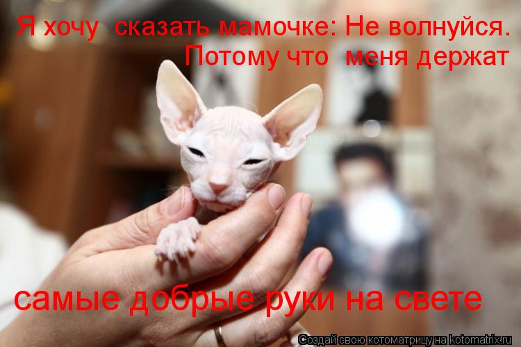 Я хочу сказать мамочке: Не волнуйся. Потому что меня держат самые добрые руки на свете... Котоматрица: Я хочу сказать мамочке: Не волнуйся. Потому что меня держат самые добрые руки на свете