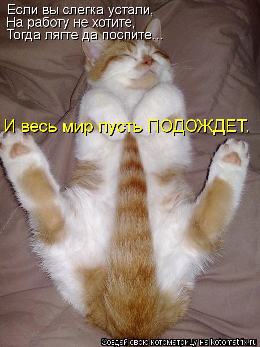 Если вы слегка устали, И весь мир пусть ПОДОЖДЕТ. Тогда лягте да поспите... На работу не хотите,... Котоматрица: Если вы слегка устали, И весь мир пусть ПОДОЖДЕТ. Тогда лягте да поспите... На работу не хотите,