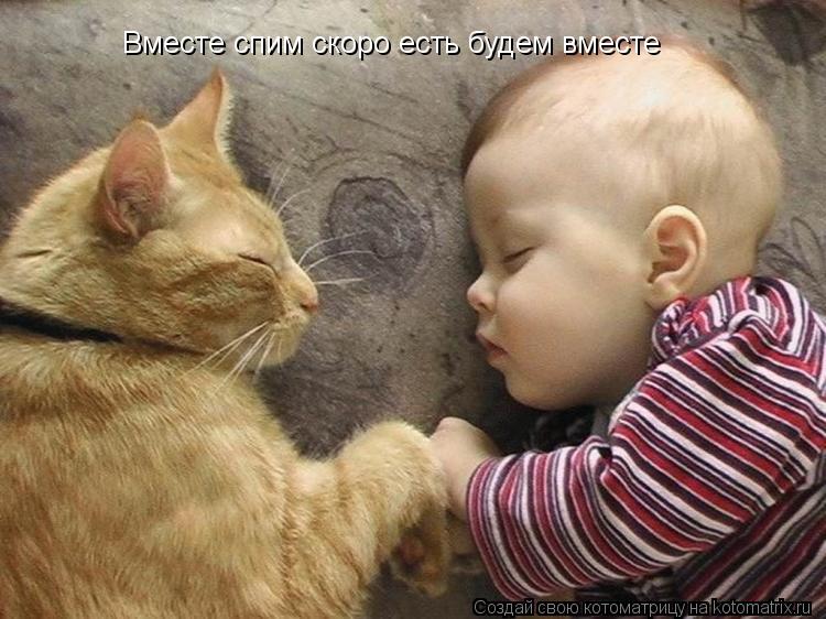 Вместе спим скоро есть будем вместе... Котоматрица: Вместе спим скоро есть будем вместе