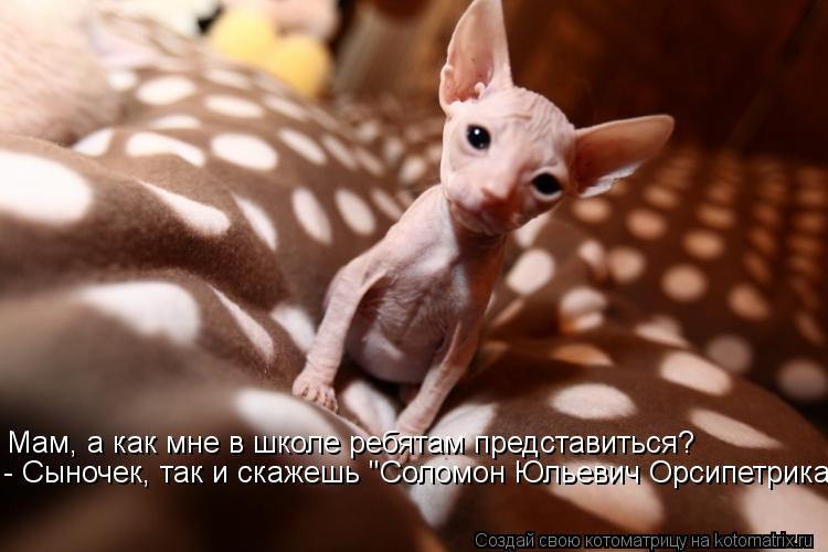 Мам, а как мне в школе ребятам представиться? - Сыночек, так и скажешь "Соломон Юльевич Орсипетрика"... Котоматрица: Мам, а как мне в школе ребятам представиться? - Сыночек, так и скажешь "Соломон Юльевич Орсипетрика"