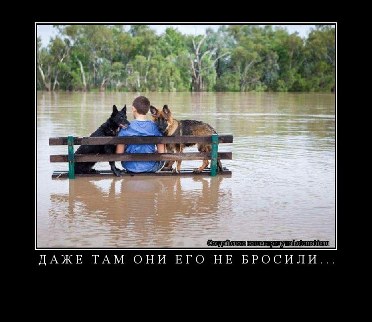 Котоматрица: Даже там они его не бросили... 