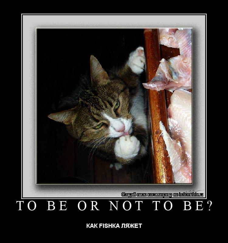TO BE OR NOT TO BE? КАК FISHКА ЛЯЖЕТ... Котоматрица: TO BE OR NOT TO BE? КАК FISHКА ЛЯЖЕТ