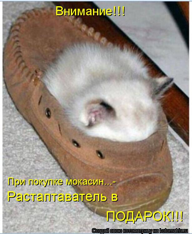Внимание!!! Растаптаватель в ПОДАРОК!!! При покупке мокасин...-... Котоматрица: Внимание!!! Растаптаватель в ПОДАРОК!!! При покупке мокасин...-