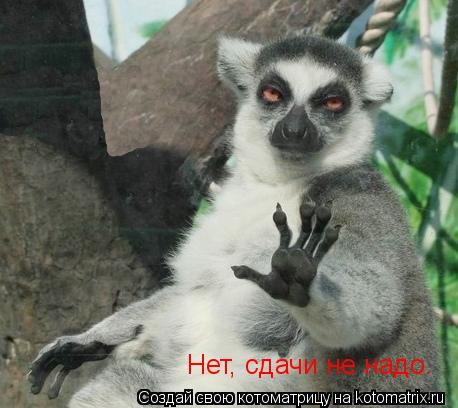 Нет, сдачи не надо.... Котоматрица: Нет, сдачи не надо.