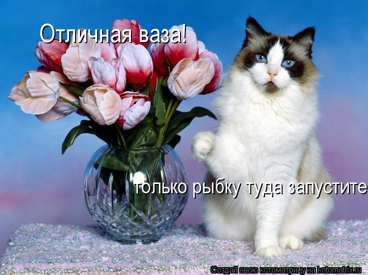 Отличная ваза! только рыбку туда запустите.... Котоматрица: Отличная ваза! только рыбку туда запустите.