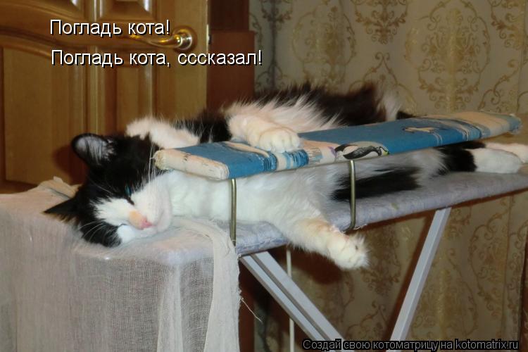 Погладь кота! Погладь кота, сссказал! Погладь кота!... Котоматрица: Погладь кота! Погладь кота, сссказал! Погладь кота!