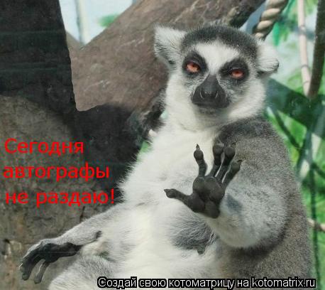не раздаю! Сегодня автографы... Котоматрица: не раздаю! Сегодня автографы
