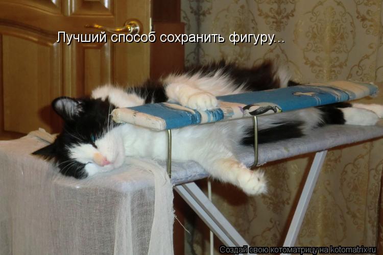 Лучший способ сохранить фигуру...... Котоматрица: Лучший способ сохранить фигуру...