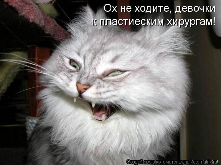 Ох не ходите, девочки к пластиеским хирургам!... Котоматрица: Ох не ходите, девочки к пластиеским хирургам!