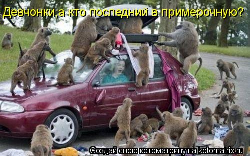 Девчонки,а кто последний в примерочную?... Котоматрица: Девчонки,а кто последний в примерочную?
