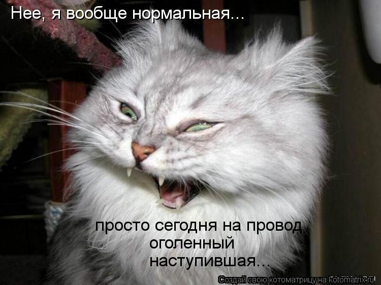 Нее, я вообще нормальная... просто сегодня на провод оголенный наступившая...... Котоматрица: Нее, я вообще нормальная... просто сегодня на провод оголенный наступившая...