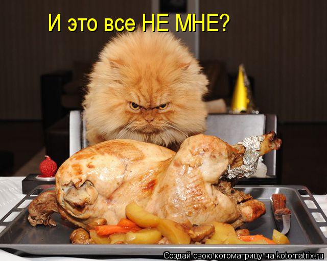 И это все НЕ МНЕ?... Котоматрица: И это все НЕ МНЕ?
