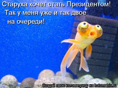 Старуха хочет стать Президентом! Так у меня уже и так двое на очереди!... Котоматрица: Старуха хочет стать Президентом! Так у меня уже и так двое на очереди!