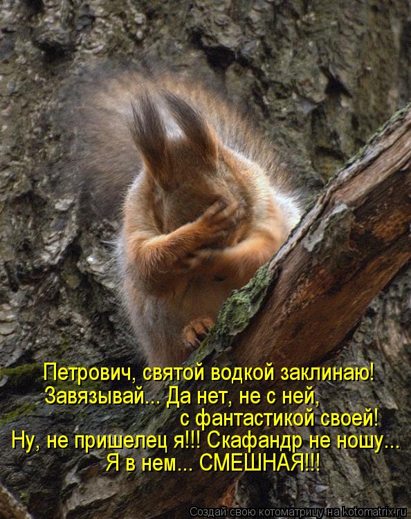 Петрович, святой водкой заклинаю! Завязывай... Да нет, не с ней, с фантастикой своей! Ну, не пришеле... Котоматрица: Петрович, святой водкой заклинаю! Завязывай... Да нет, не с ней, с фантастикой своей! Ну, не пришелец я!!! Скафандр не ношу... Я в нем... СМЕШНАЯ!!!