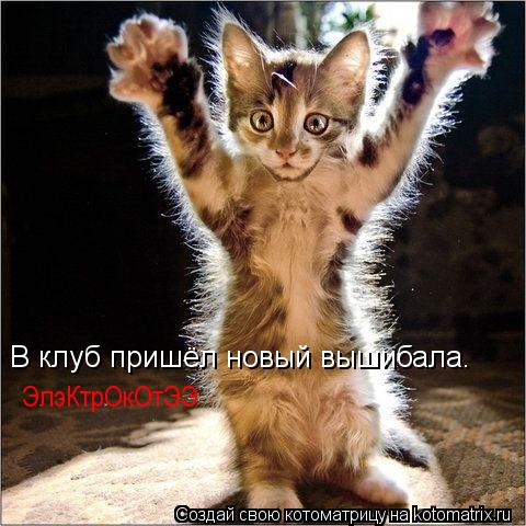 В клуб пришёл новый вышибала. ЭлэКтрОкОтЭЭ... Котоматрица: В клуб пришёл новый вышибала. ЭлэКтрОкОтЭЭ