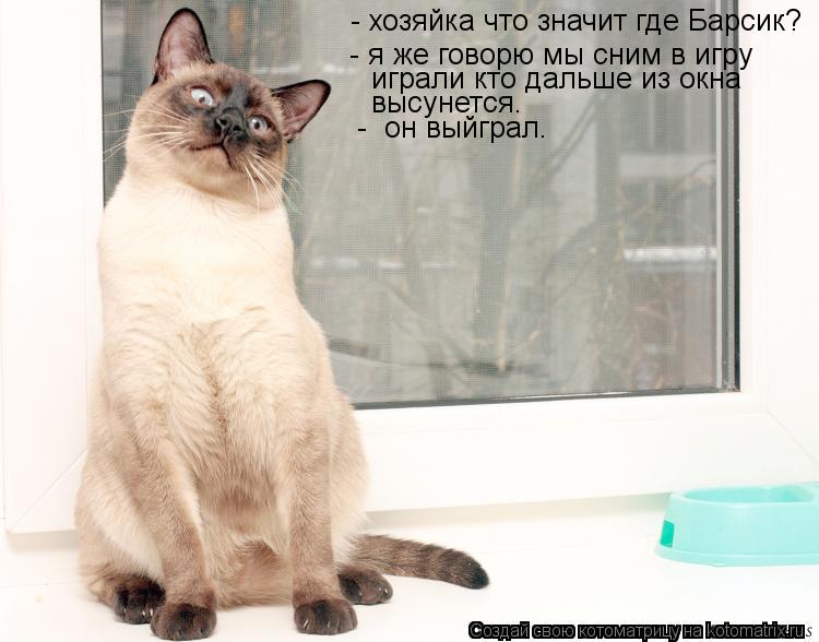- хозяйка что значит где Барсик? - я же говорю мы сним в игру играли кто дальше из окна высунется. ... Котоматрица: - хозяйка что значит где Барсик? - я же говорю мы сним в игру играли кто дальше из окна высунется. - он выйграл.