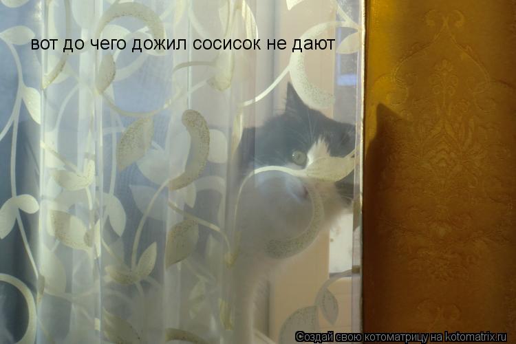 вот до чего дожил сосисок не дают... Котоматрица: вот до чего дожил сосисок не дают