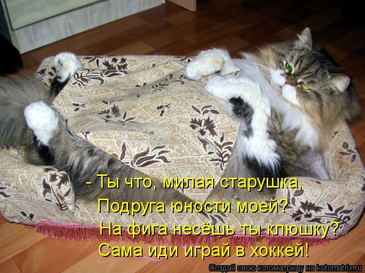 - Ты что, милая старушка, Подруга юности моей? На фига несёшь ты клюшку? Сама иди играй в хоккей!... Котоматрица: - Ты что, милая старушка, Подруга юности моей? На фига несёшь ты клюшку? Сама иди играй в хоккей!