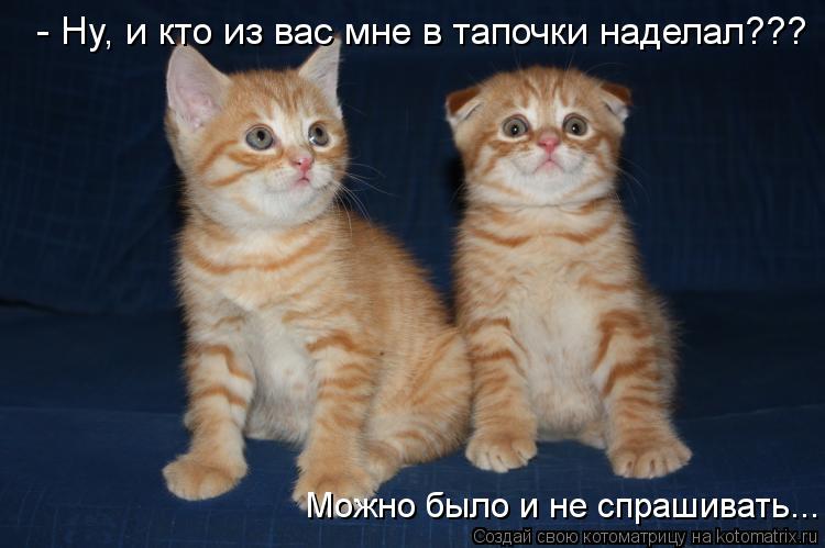 - Ну, и кто из вас мне в тапочки наделал??? Можно было и не спрашивать...... Котоматрица: - Ну, и кто из вас мне в тапочки наделал??? Можно было и не спрашивать...
