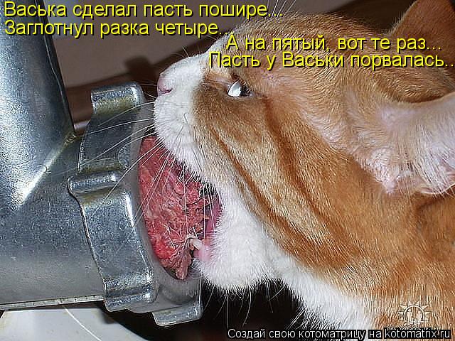 Васька сделал пасть пошире... Заглотнул разка четыре... А на пятый, вот те раз... Пасть у Васьки порв... Котоматрица: Васька сделал пасть пошире... Заглотнул разка четыре... А на пятый, вот те раз... Пасть у Васьки порвалась..