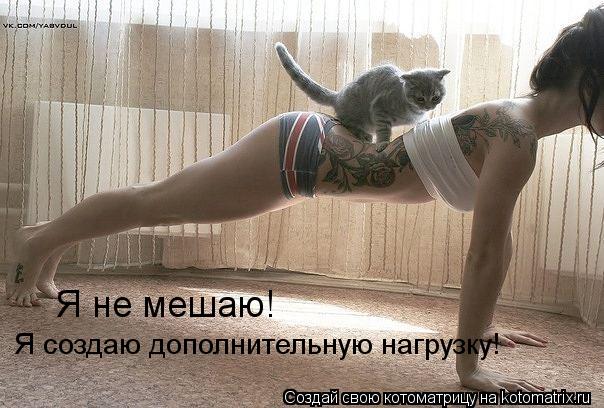 Я не мешаю! Я создаю дополнительную нагрузку!... Котоматрица: Я не мешаю! Я создаю дополнительную нагрузку!