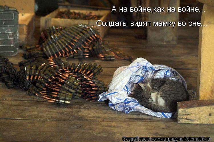 А на войне,как на войне... Солдаты видят мамку во сне...... Котоматрица: А на войне,как на войне... Солдаты видят мамку во сне...