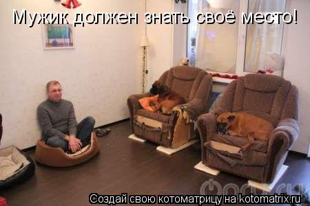 Мужик должен знать своё место!... Котоматрица: Мужик должен знать своё место!