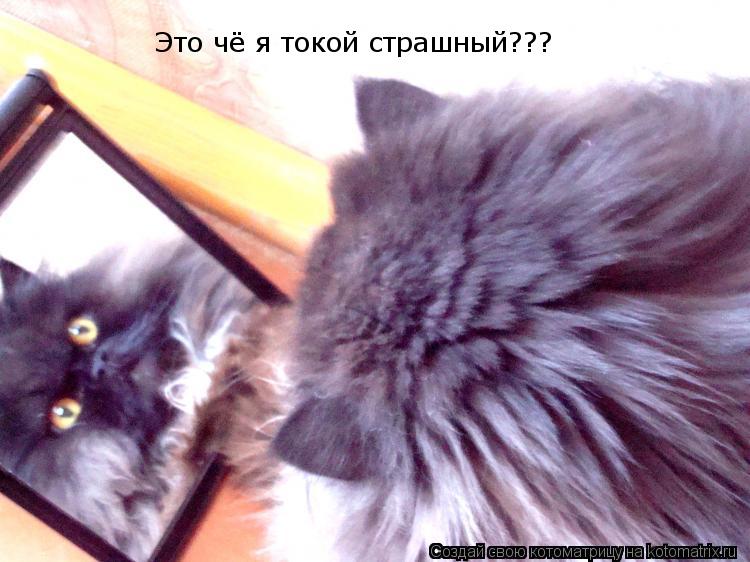 Это чё я токой страшный???... Котоматрица: Это чё я токой страшный???