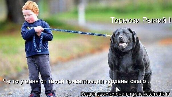 Котоматрица: Тормози Рыжий ! Че то у меня от твоей приватизации карданы свело...