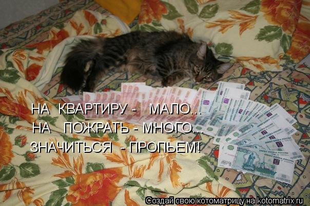 Котоматрица: НА  КВАРТИРУ -   МАЛО... НА   ПОЖРАТЬ - МНОГО... ЗНАЧИТЬСЯ  - ПРОПЬЕМ!
