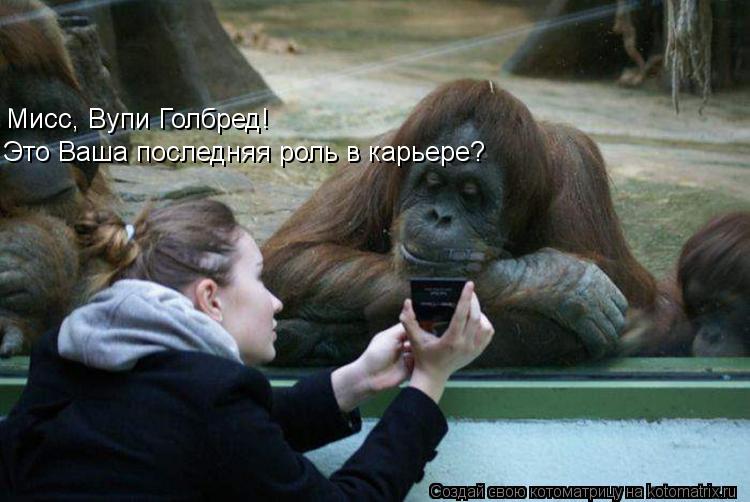 Котоматрица: Мисс, Вупи Голбред! Это Ваша последняя роль в карьере?